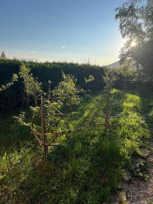 Nuit Insolite - La Cabane Du Haut-Doubs Les Gras エクステリア 写真