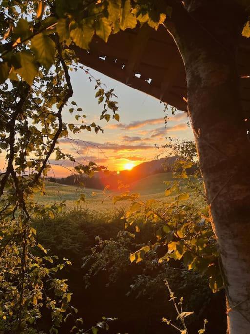 Nuit Insolite - La Cabane Du Haut-Doubs Les Gras エクステリア 写真